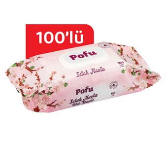 Islak Havlu