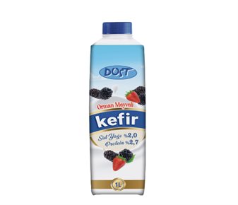 Orman Meyveli Kefir