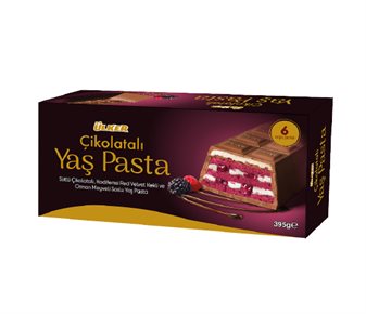 Sütlü Çikolata Kaplı Orman Meyveli Yaş Pasta