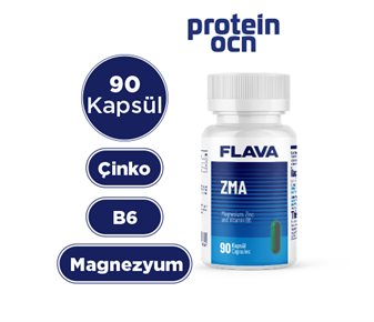 Protein Ocn Zma Flava