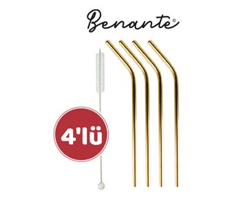 Benante Paslanmaz Çelik Pipet 4'lü (temizlik fırçalı)